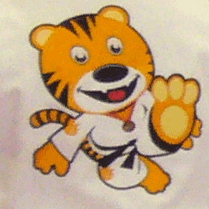 TinyTigerLogo